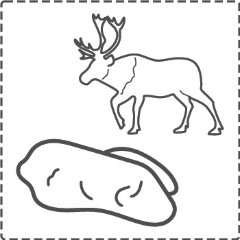 caribou_bw_border