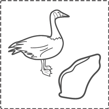 goose_bw_border