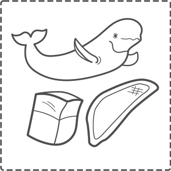 whale_bw_border