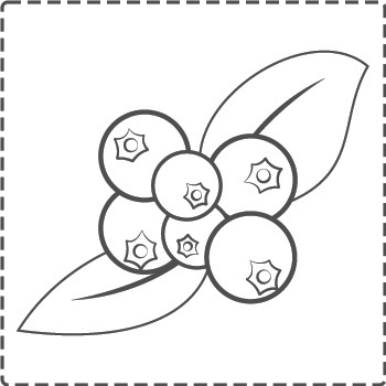wild berries_bw_border