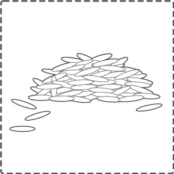 wild rice_bw_border